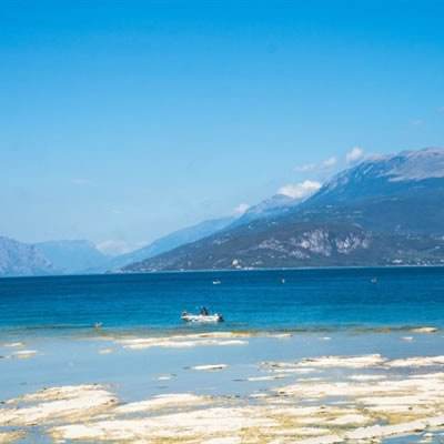 乐鱼体育app官方网站下载