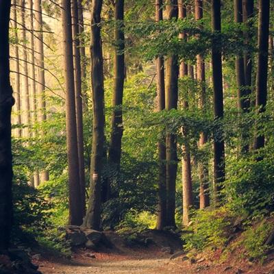 澳门mgm娱乐官网下载手机版